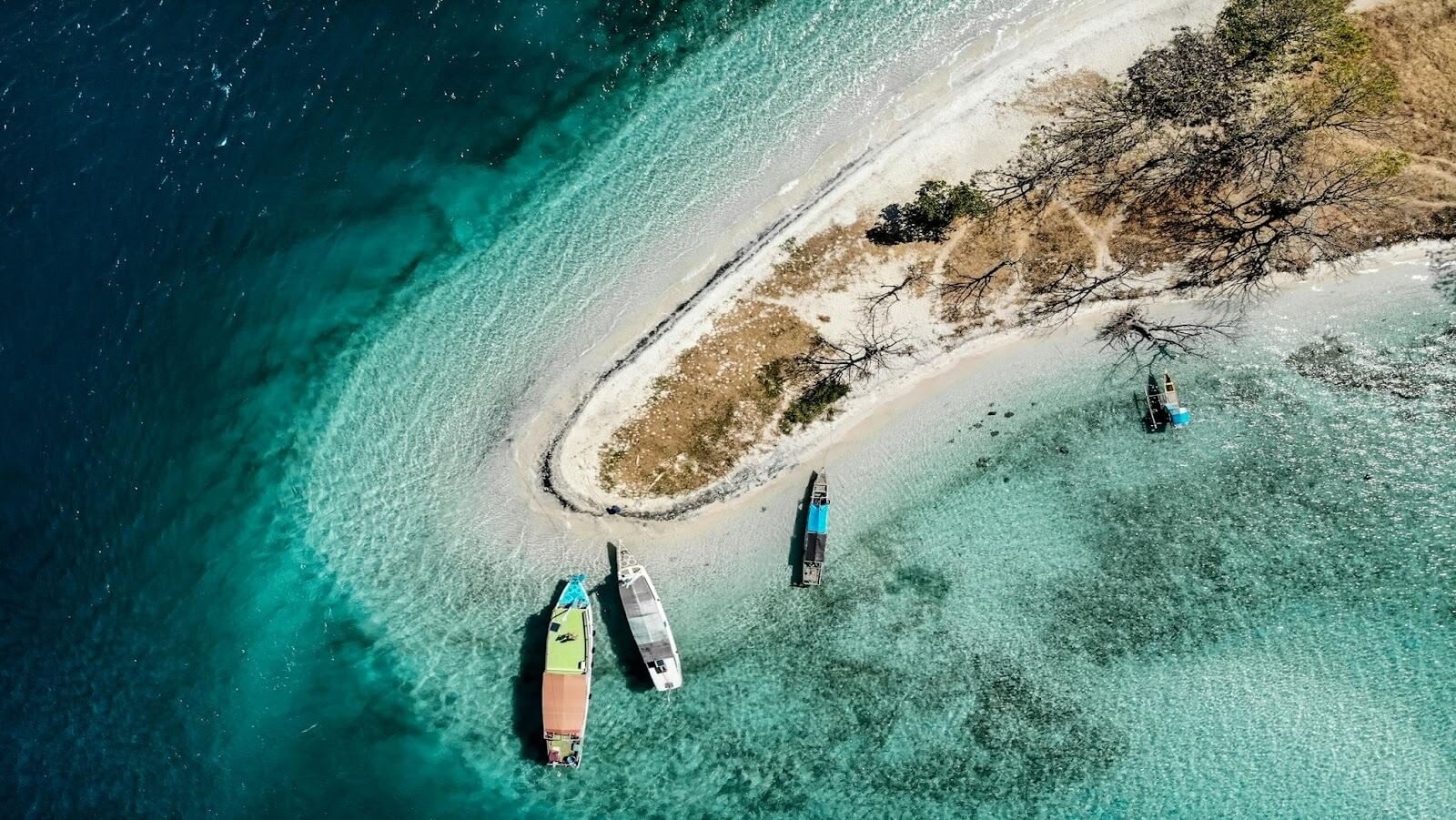 Aerial view of four canoes on shore during daytime