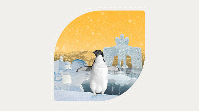 Ice Festivals Around the World: The Coolest Winter Adventures You Can't Miss