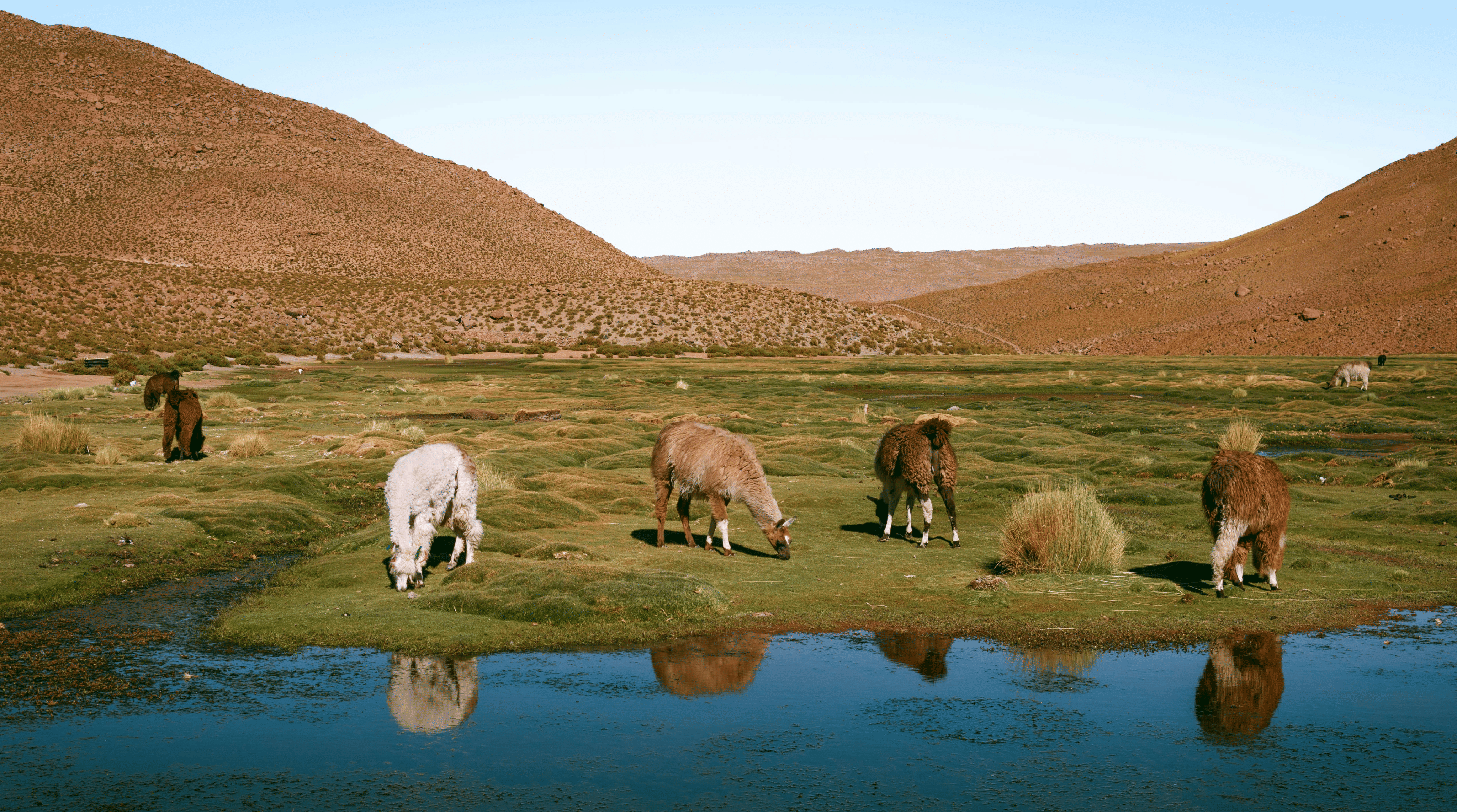 chile precisa de passaporte, precisa de passaporte para o chile, para ir pro chile precisa de passaporte, viagem para o chile