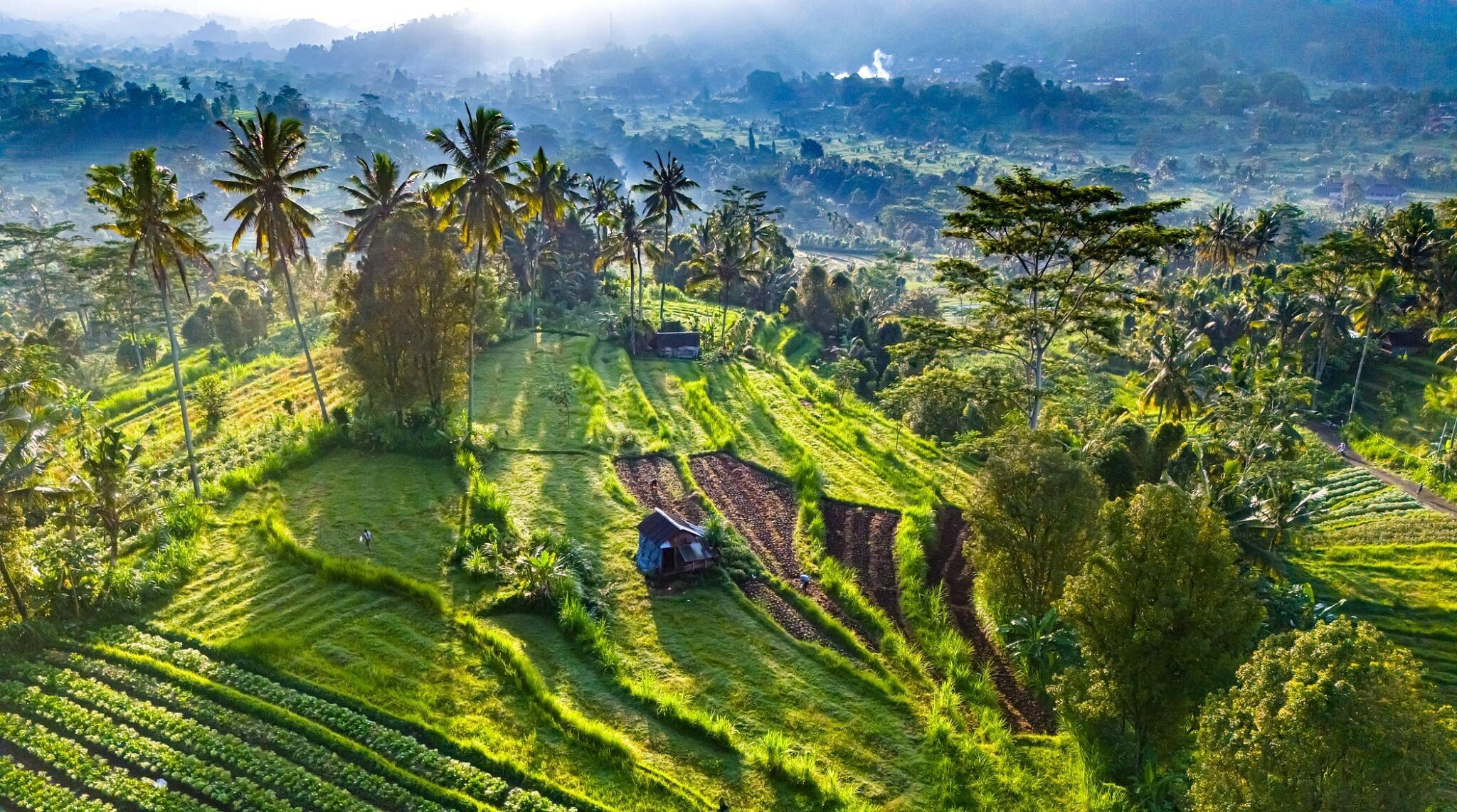 sidemen, bali