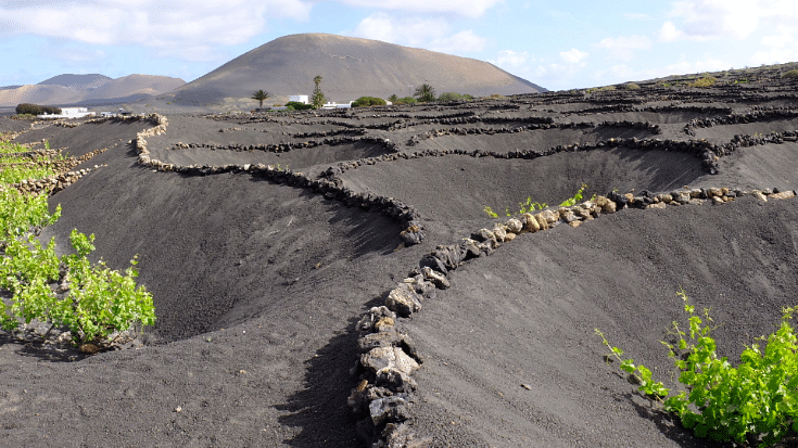 An image of black volcanic craters with plant growing from them and stretched as far as the eye can see across the horizon at the Timanfaya national park in Lanzarote, to illustrate a blog post entitled The Best Family Winter Holidays from Ireland.  