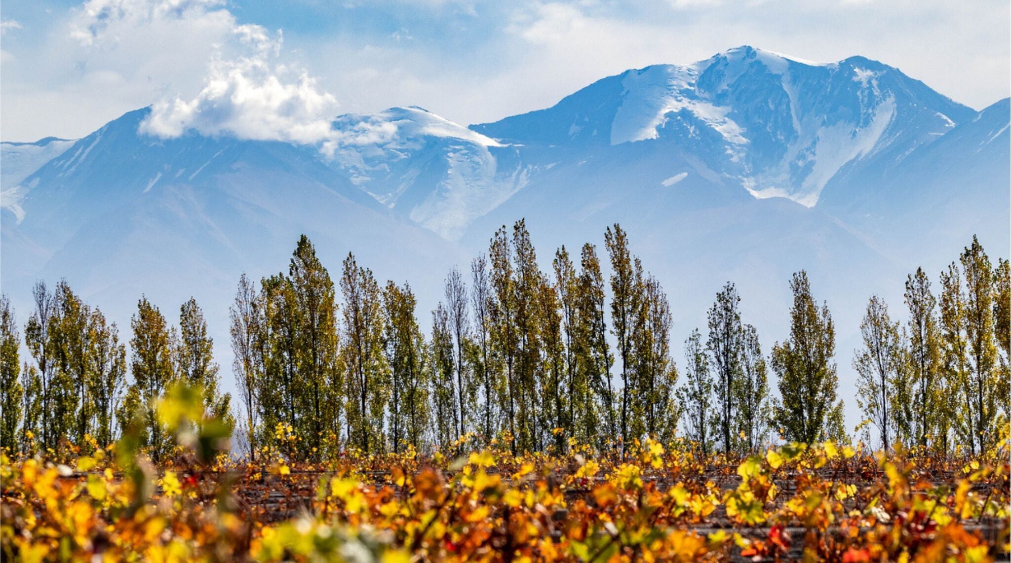 Mendoza