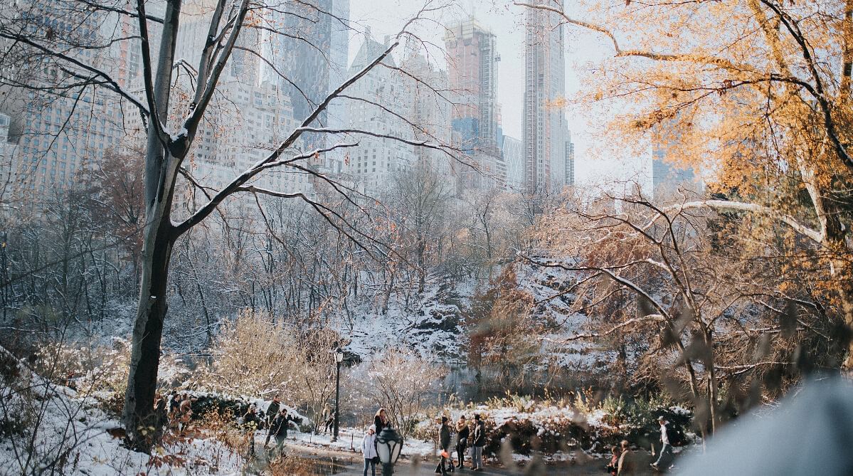 Central Park, New York City