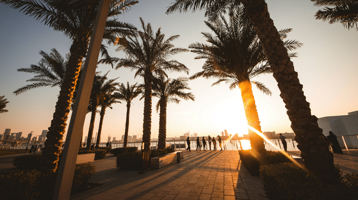 Palm trees along the waterfront in Abu Dhabi