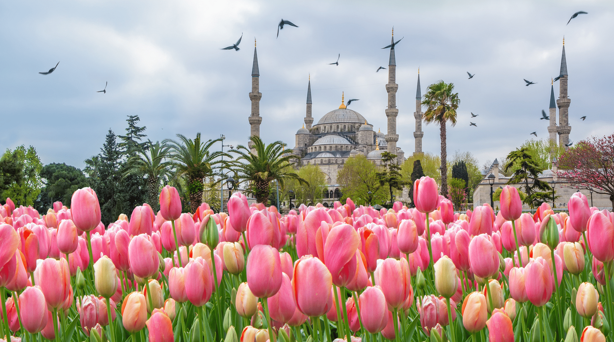 printemps en turquie istanbul