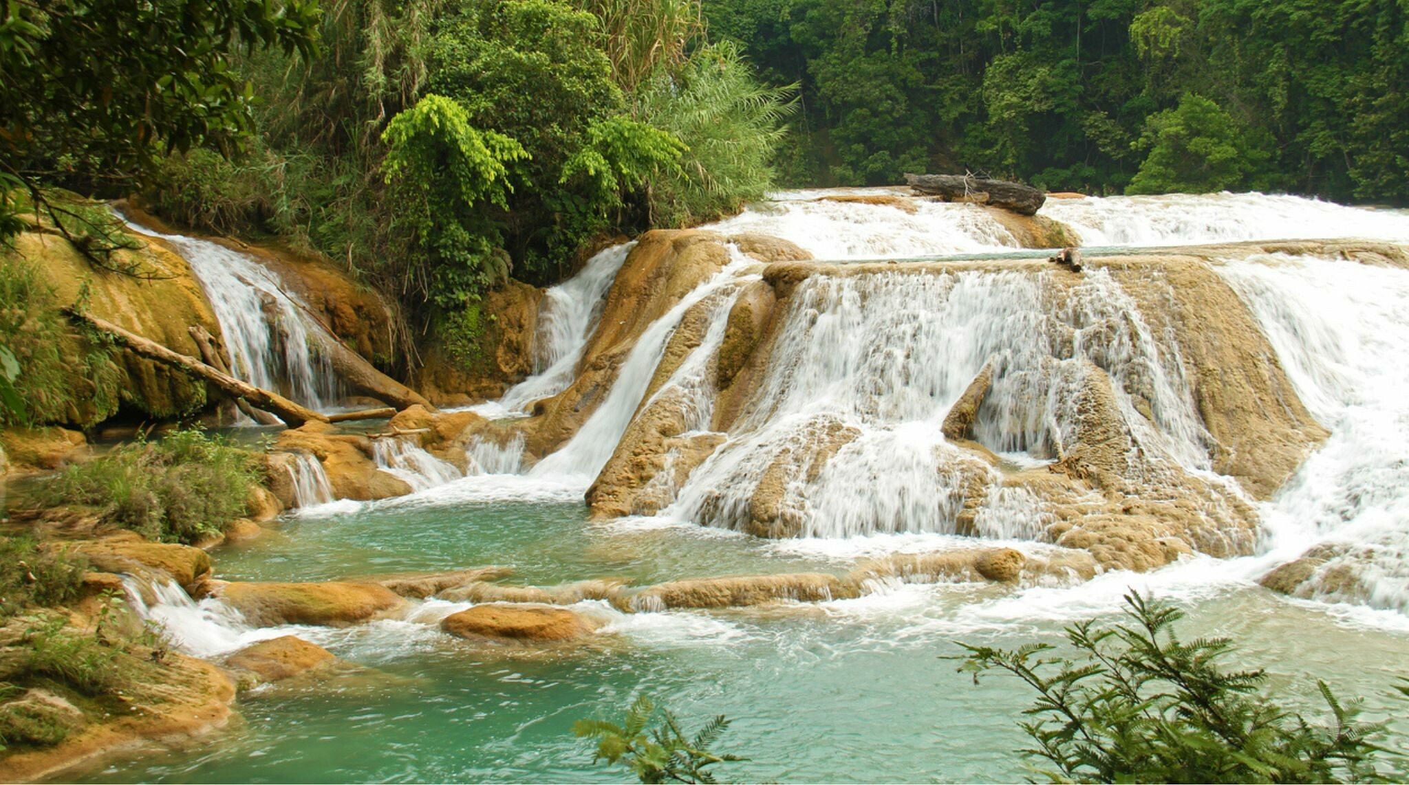 cascades au chiapas parmi les plus beaux endroits a voir au mexique