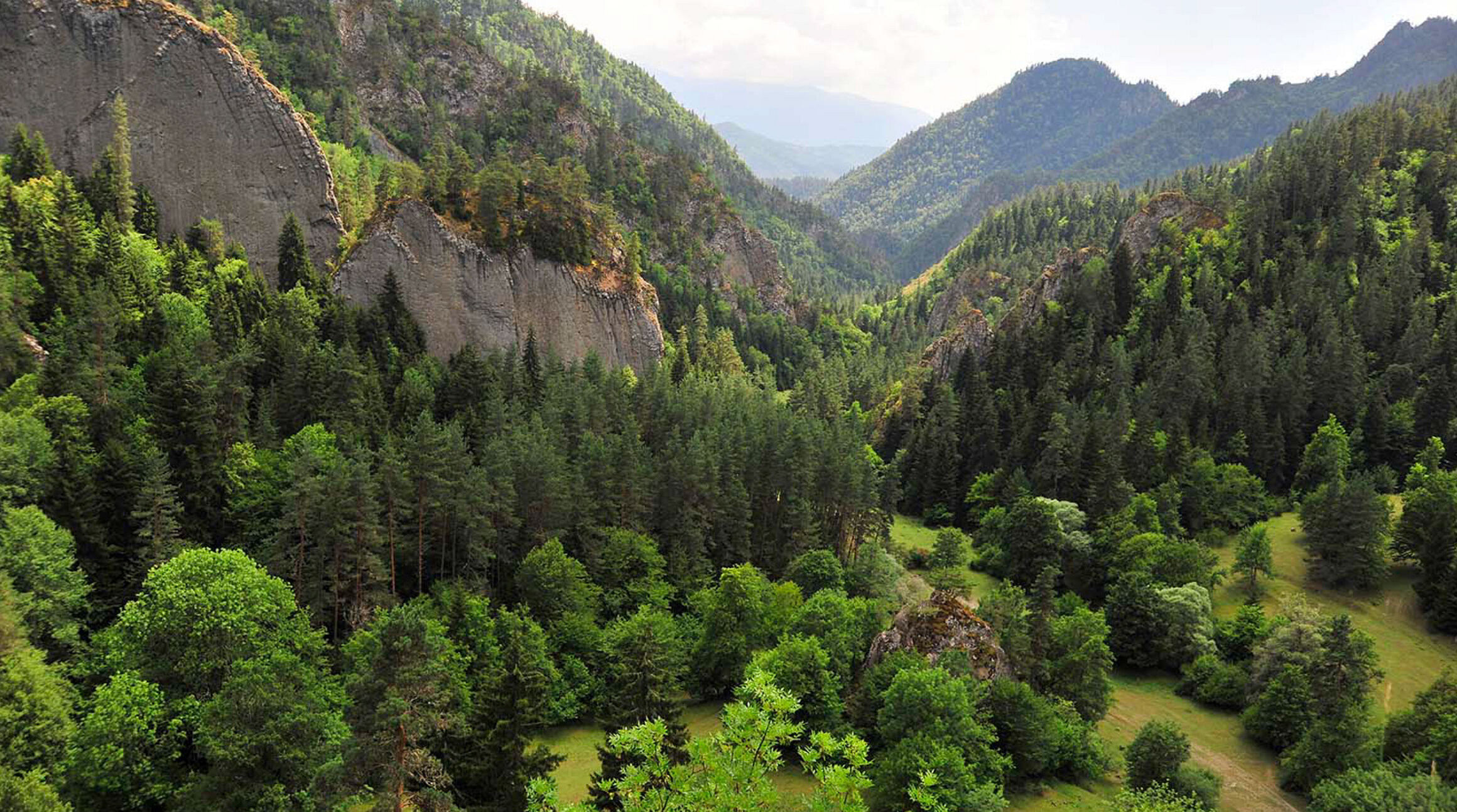 Borjomi-Kharagauli National Park in Georgia