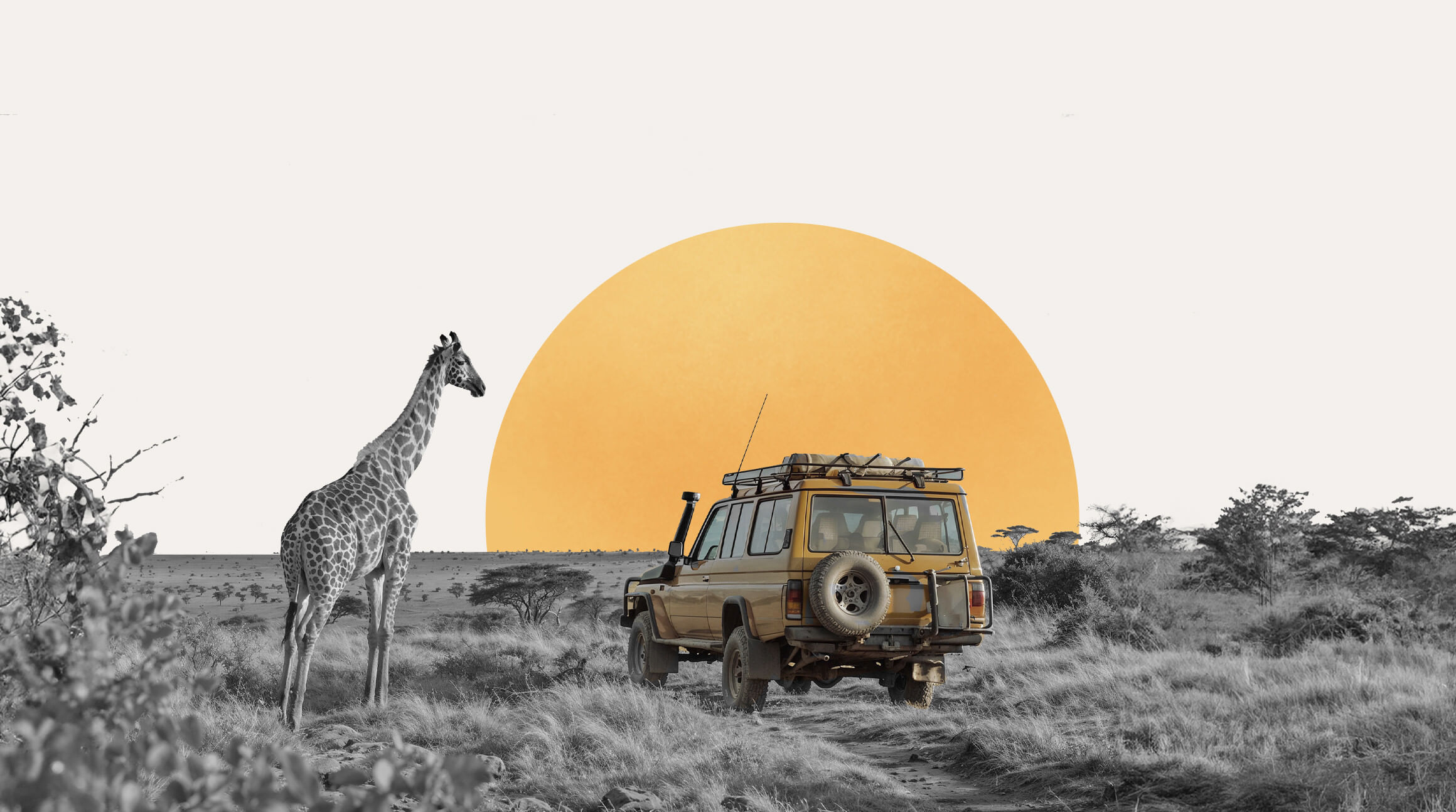 Südafrika-Reise für Anfänger: Alles zu Kosten, Impfungen und absolute Highlights