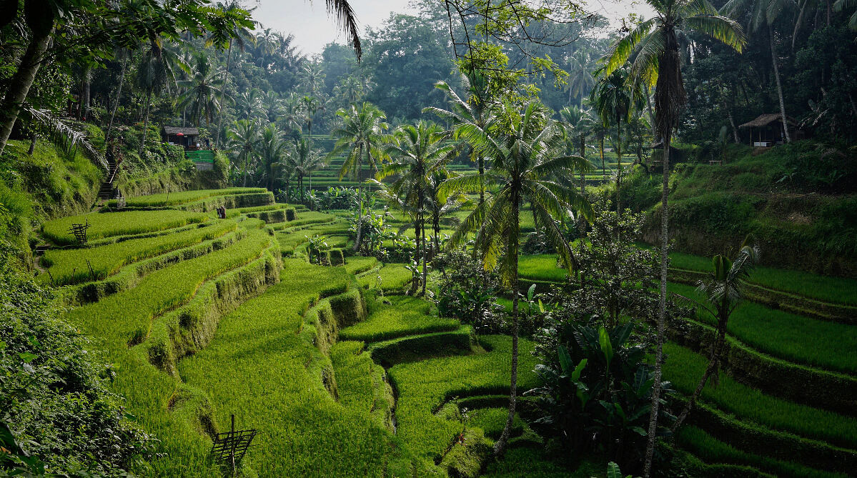 Ubud, Bali, Indonesia