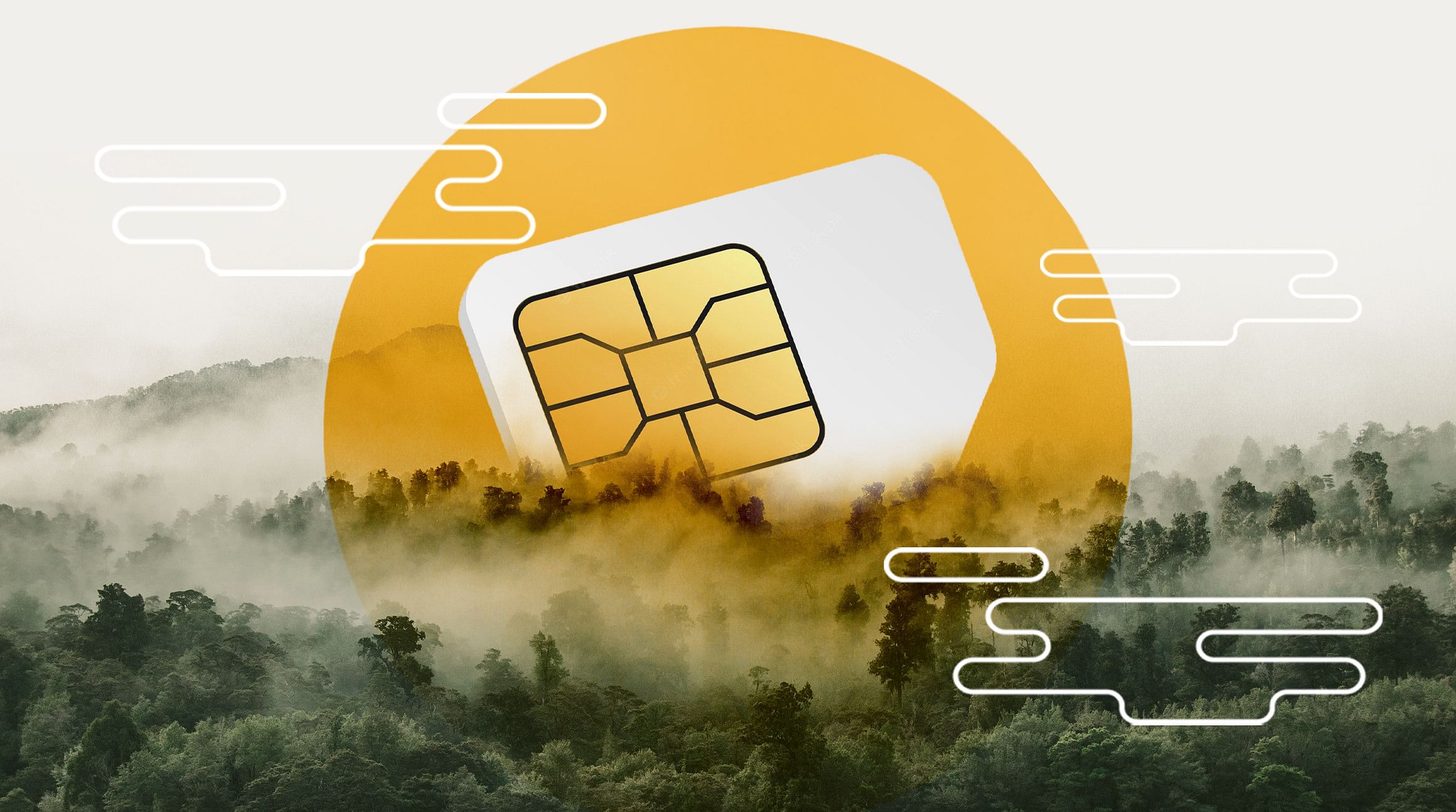 The Top 10 Problems With SIM Cards - Airalo Blog