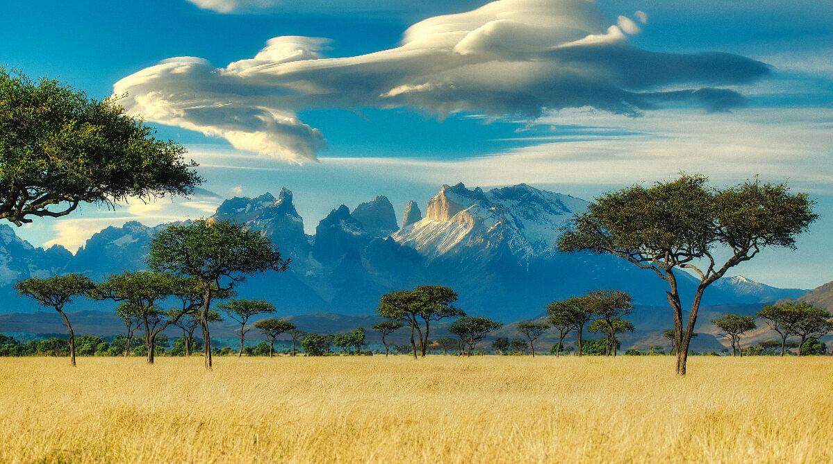Kenya savanna