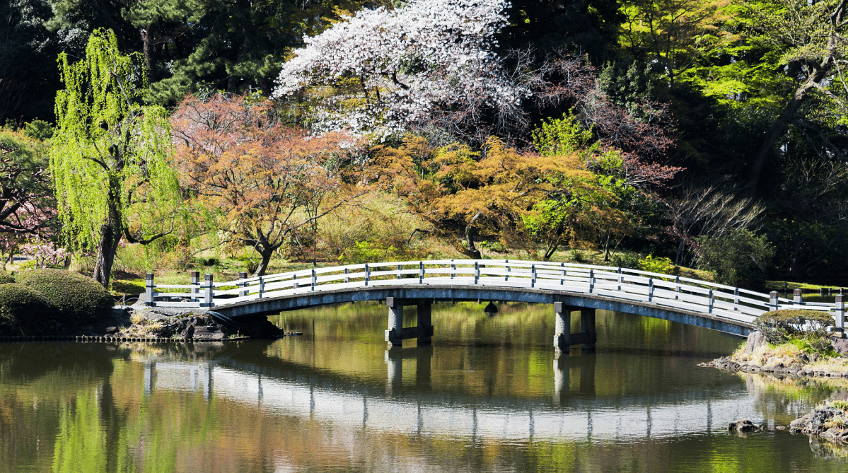 Shinjuku Gyoen National Garden