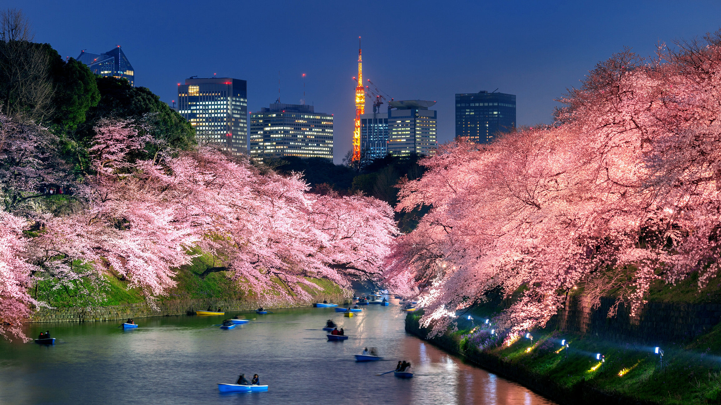 parc Chidorigafuchi tokyo japon