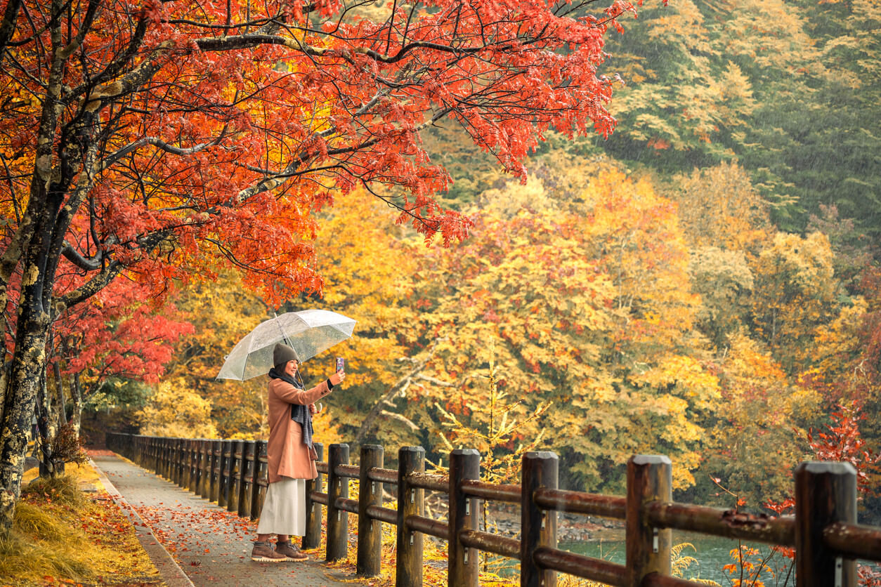 Frau zur besten Reisezeit in Japan im Wald