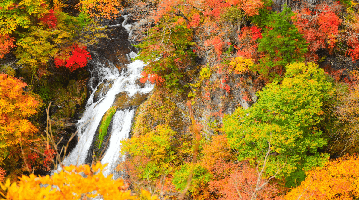 Waterfall in Nikko National Park, Japan