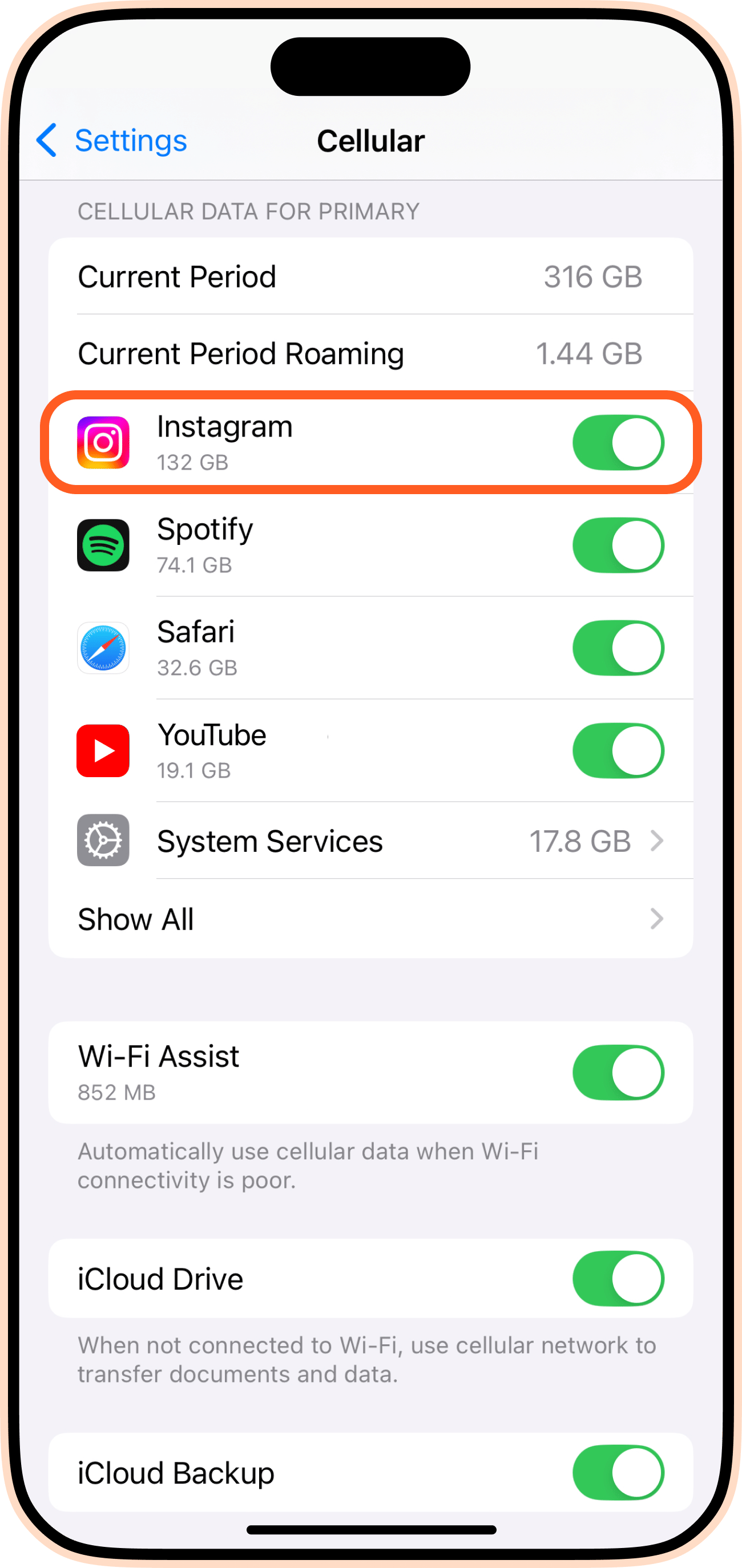 Cellular toggle iPhone