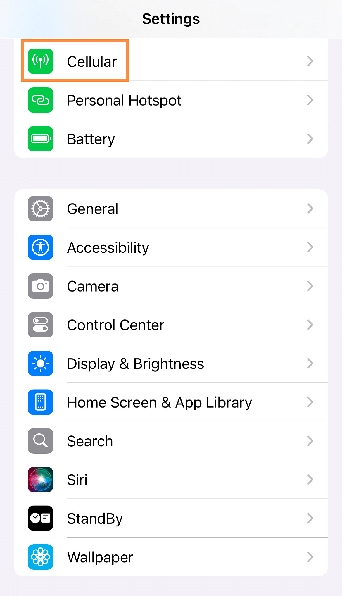 Cellular iPhone