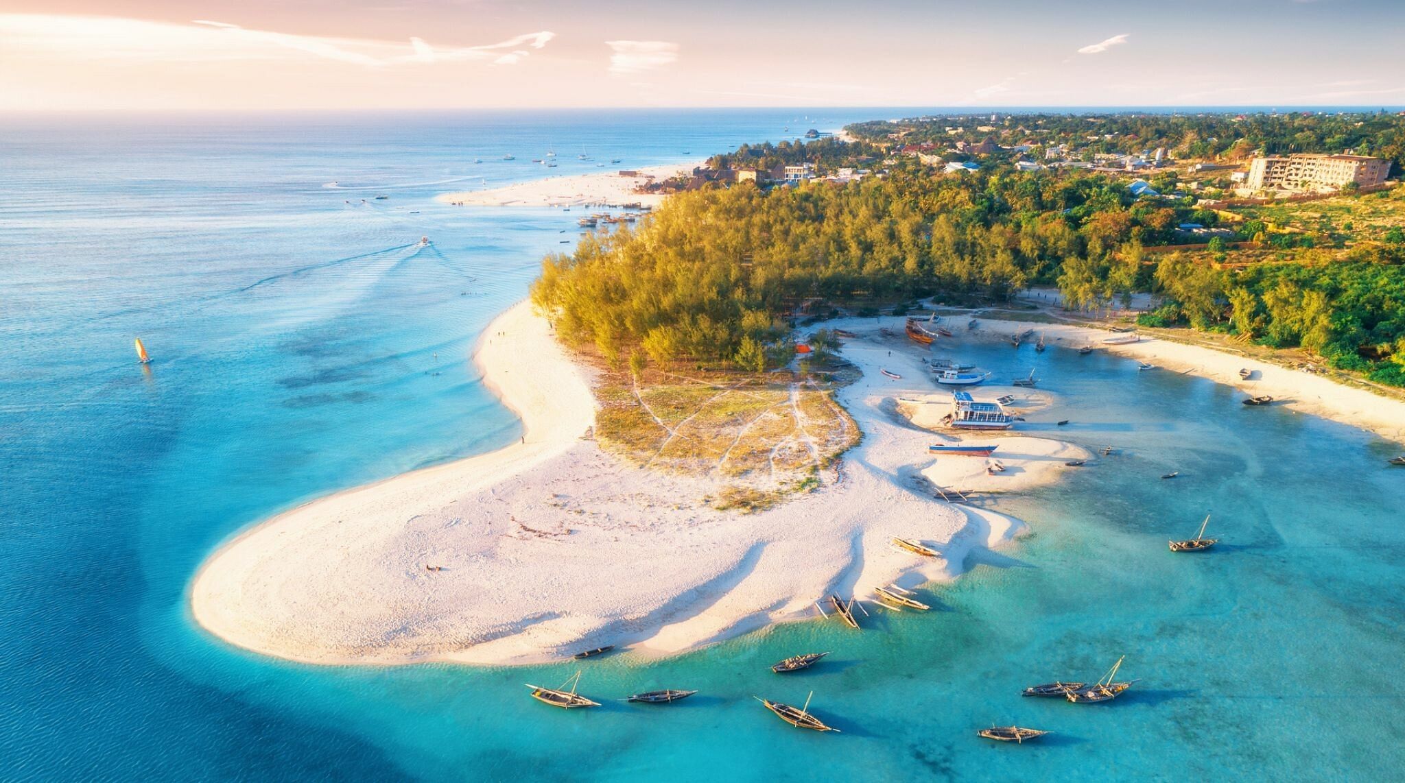 zanzibar en juillet paysage de plage et mer