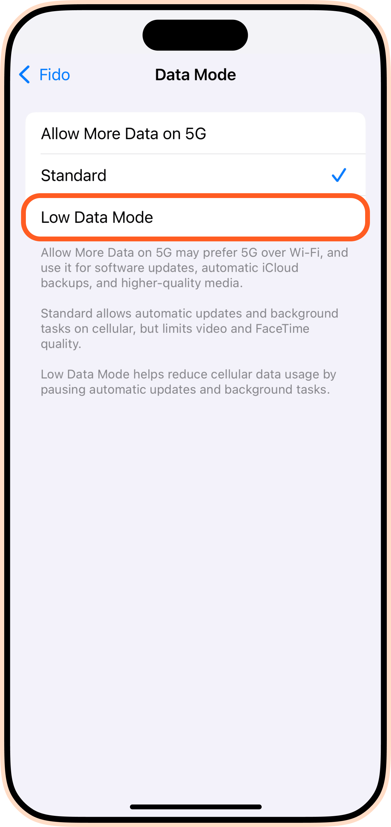 Low Data Mode iPhone