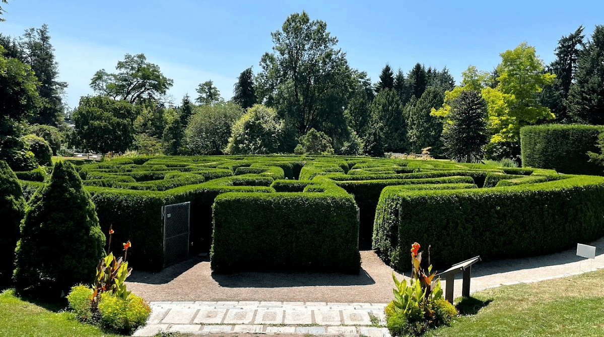 Hedge maze in VanDusen Botanical Garden, Vancouver