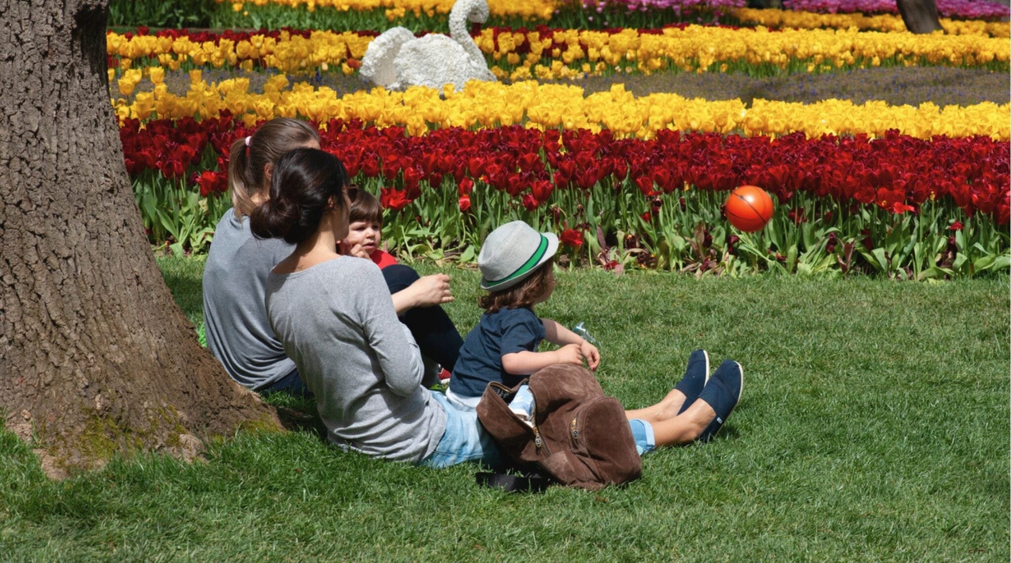 O Parque Emirgan fica colorido quando as tulipas florescem na primavera. A tulipa sobreviveu até hoje como um símbolo do período otomano. Ela é cultivada e plantada em parques e jardins.