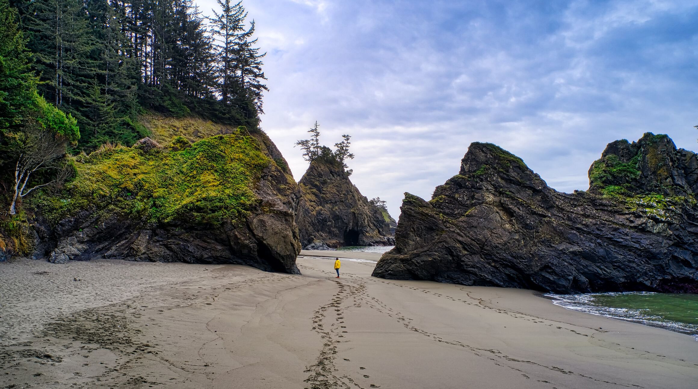 Pacific Northwest beach