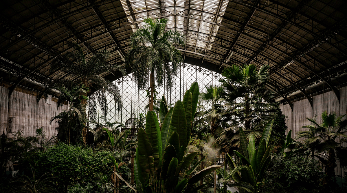 Garden in Atocha train station, Madrid