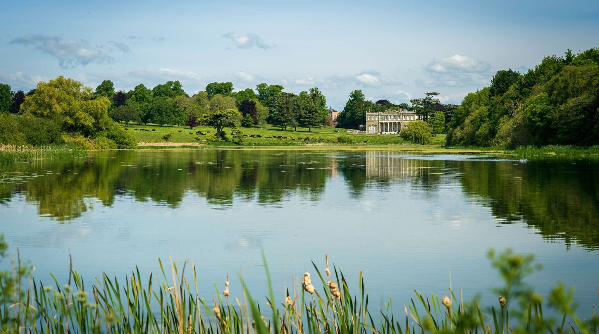 nature lake in UK