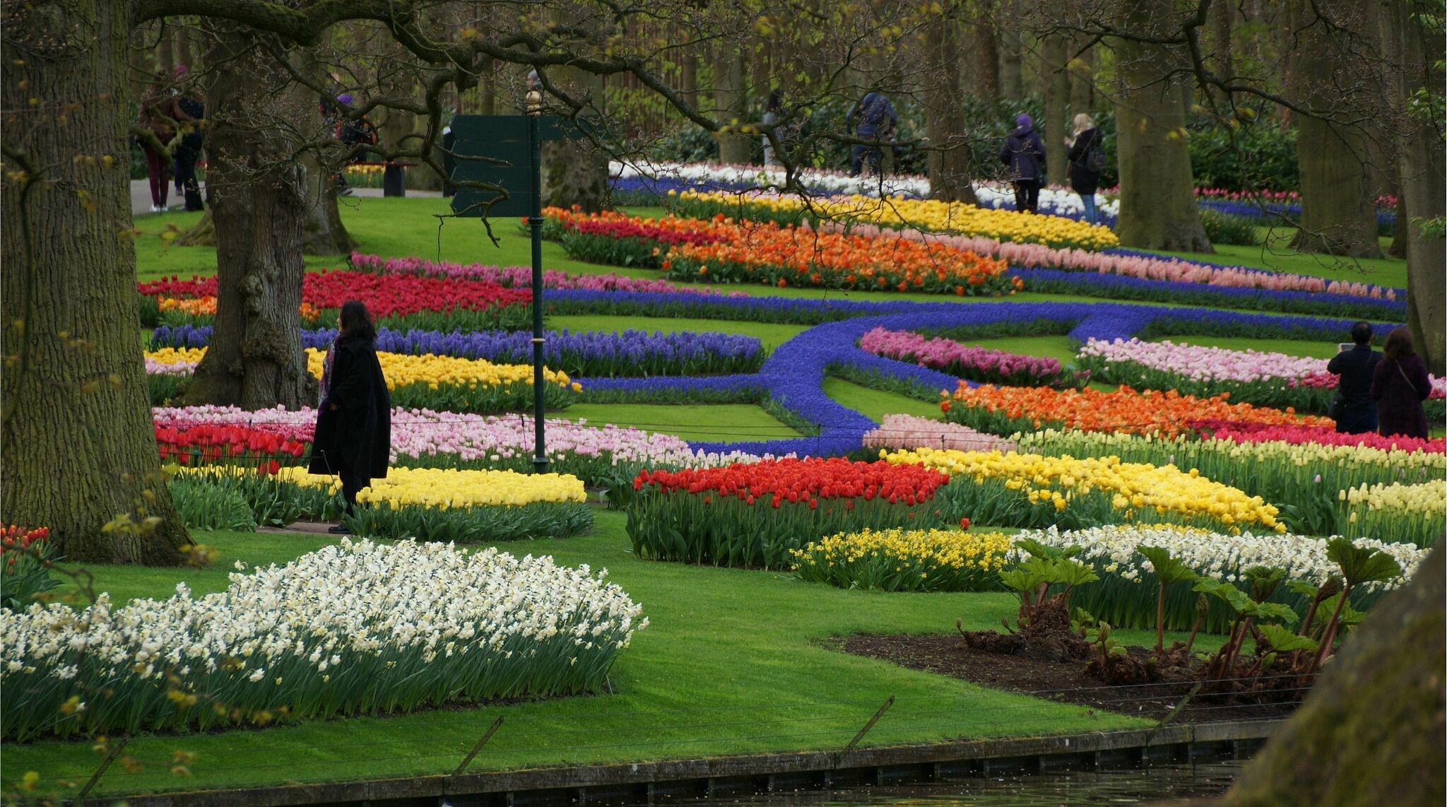 Primavera no parque de Keukenhof, na Holanda