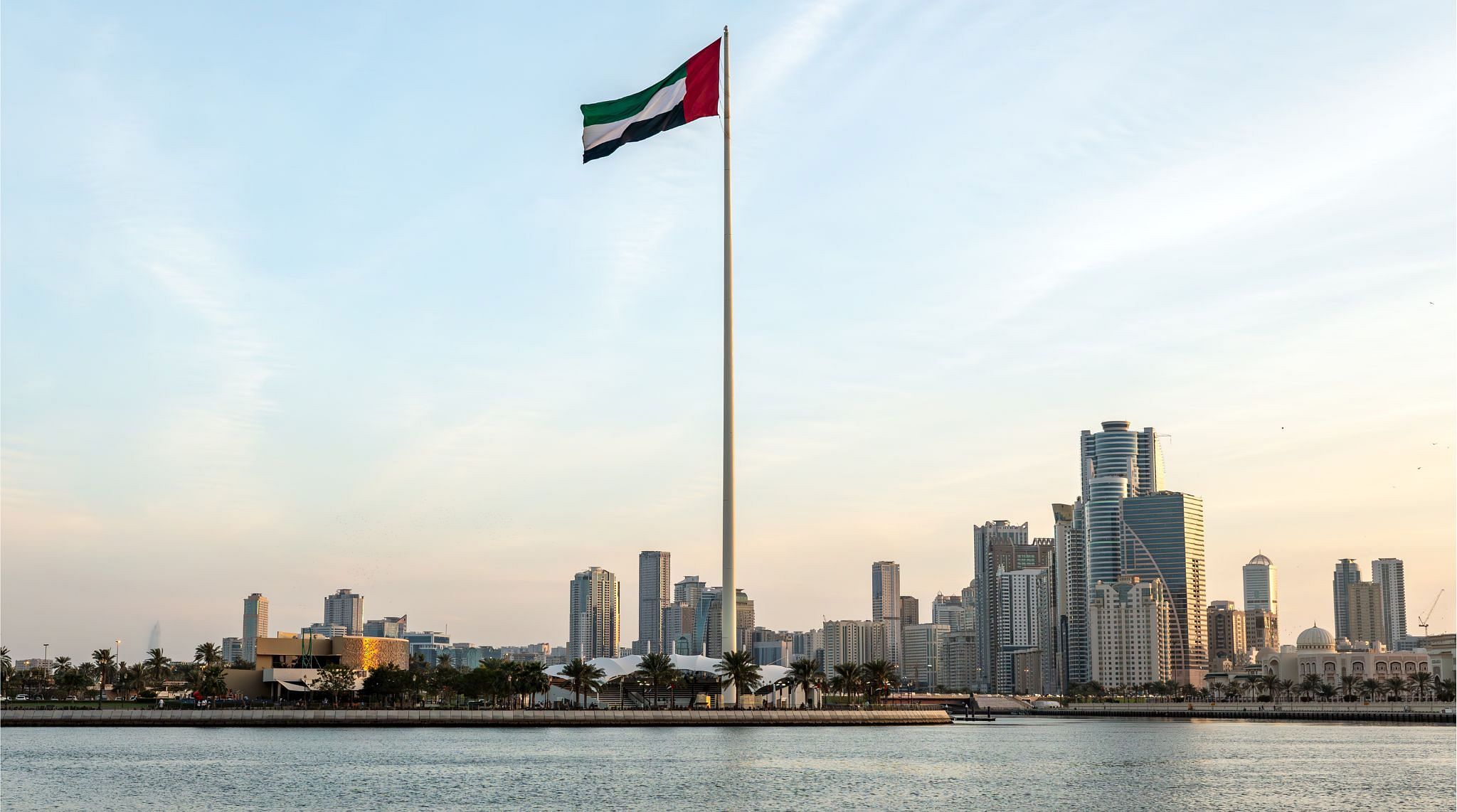 UAE national day celebration