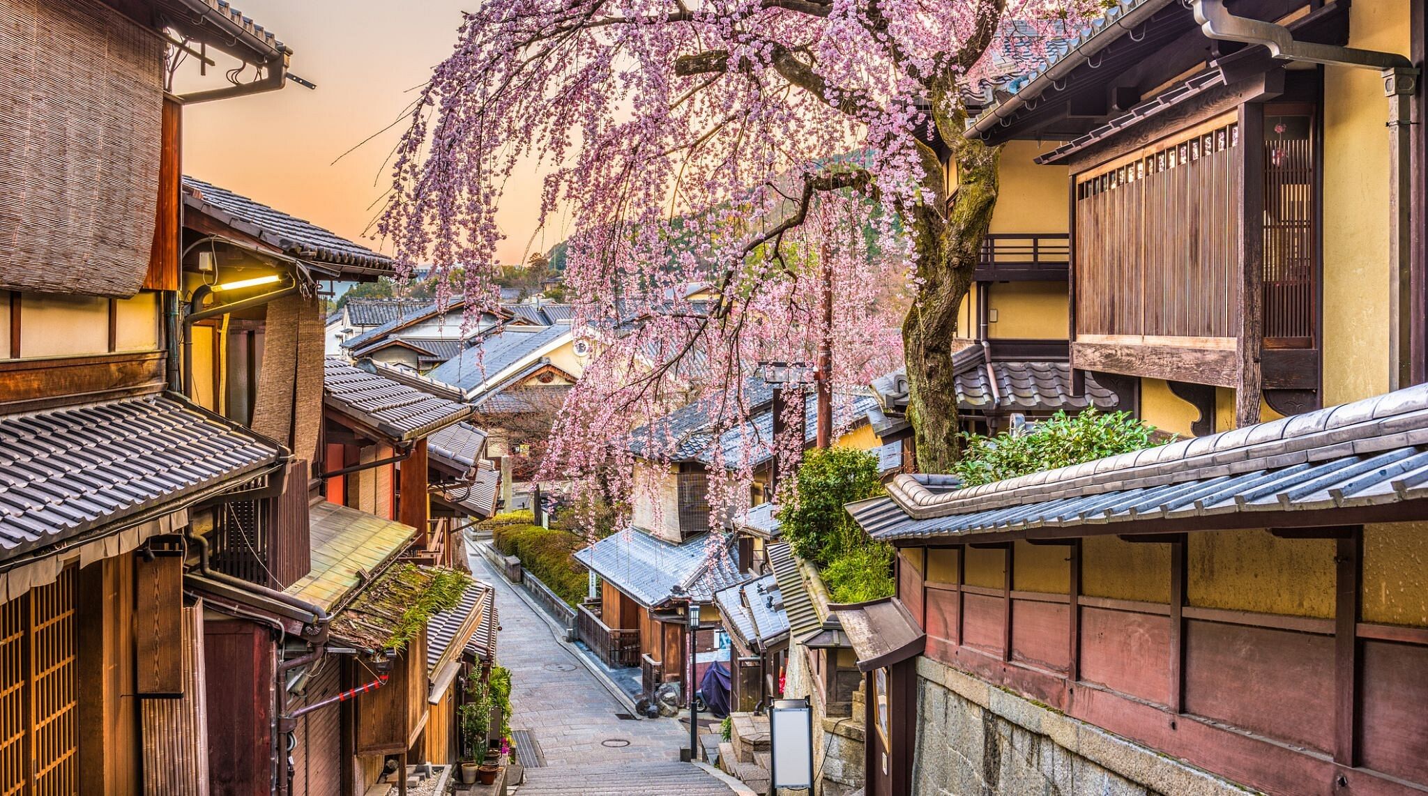 illustration paysage kyoto japon