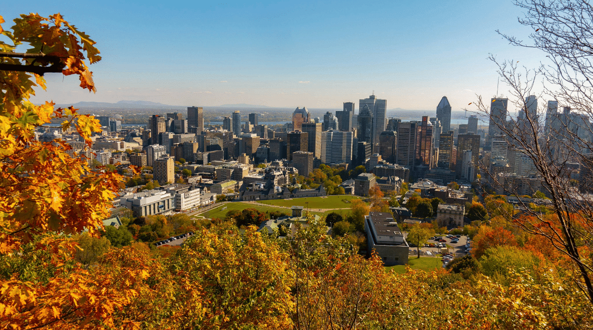 View from Mount Royal Park, Montreal