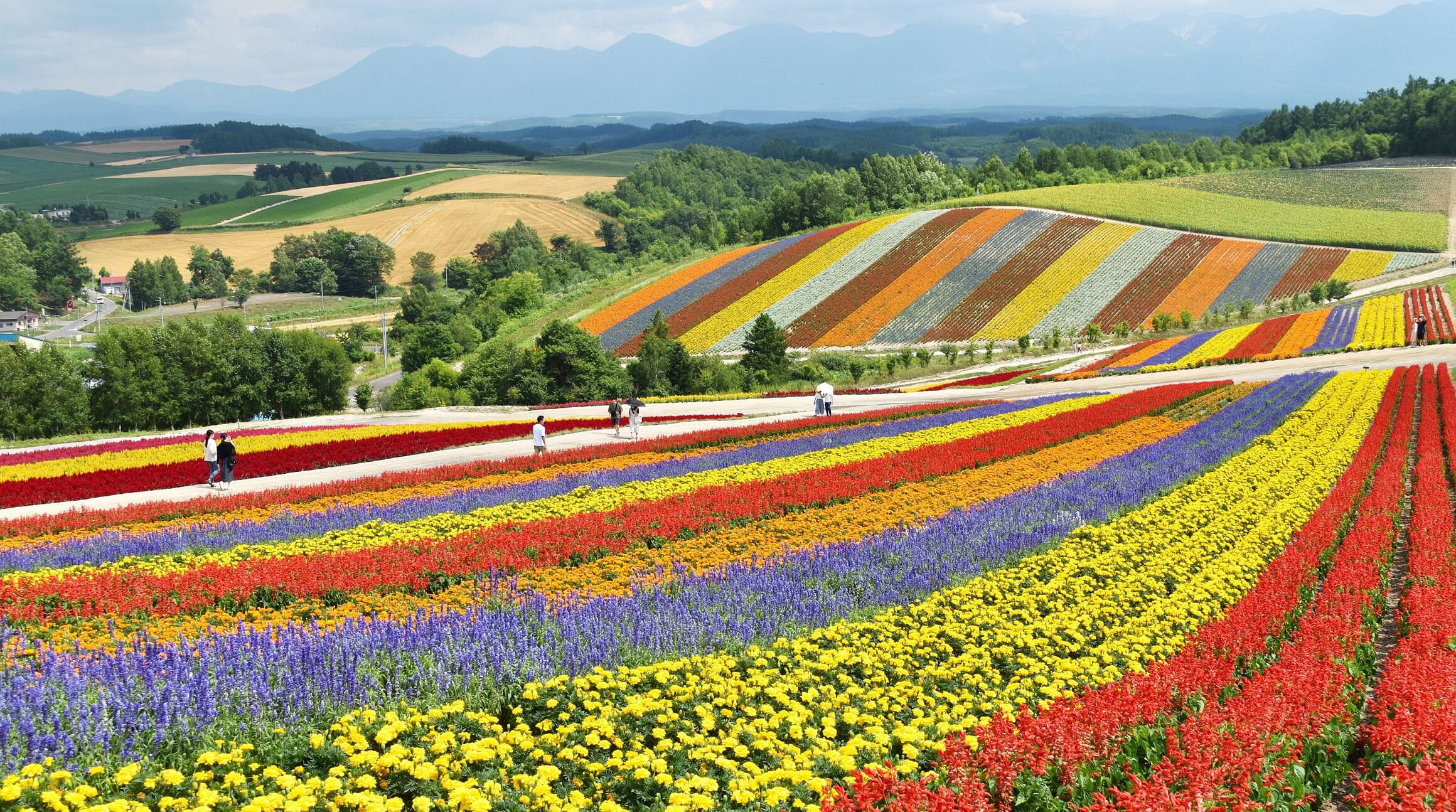 Hokkaido, Japan