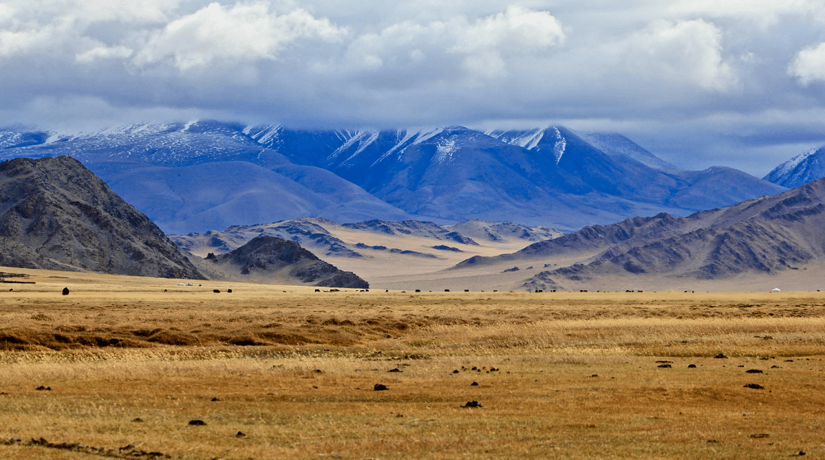 Fields and mountains in Mongolia