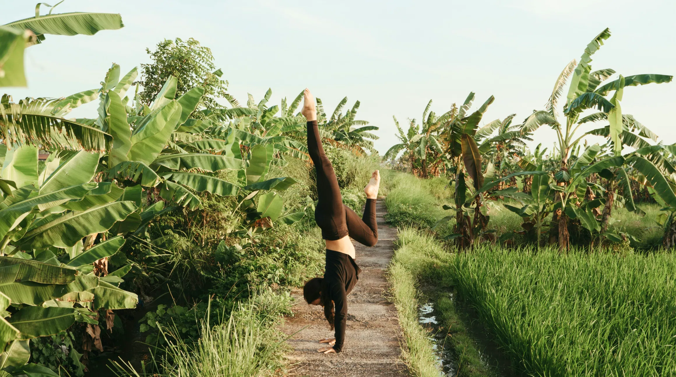 Plan Your Yoga Retreat to Costa Rica