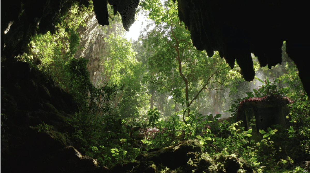 Camuy River Cave Park, Puerto Rico