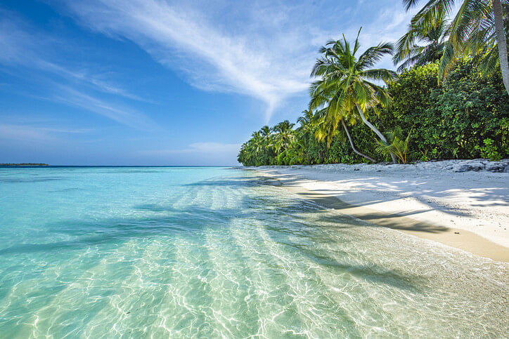 Tropical beach in the Maldives