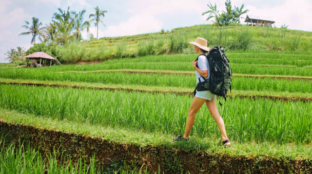 Bali en décembre : bonne ou mauvaise idée ?