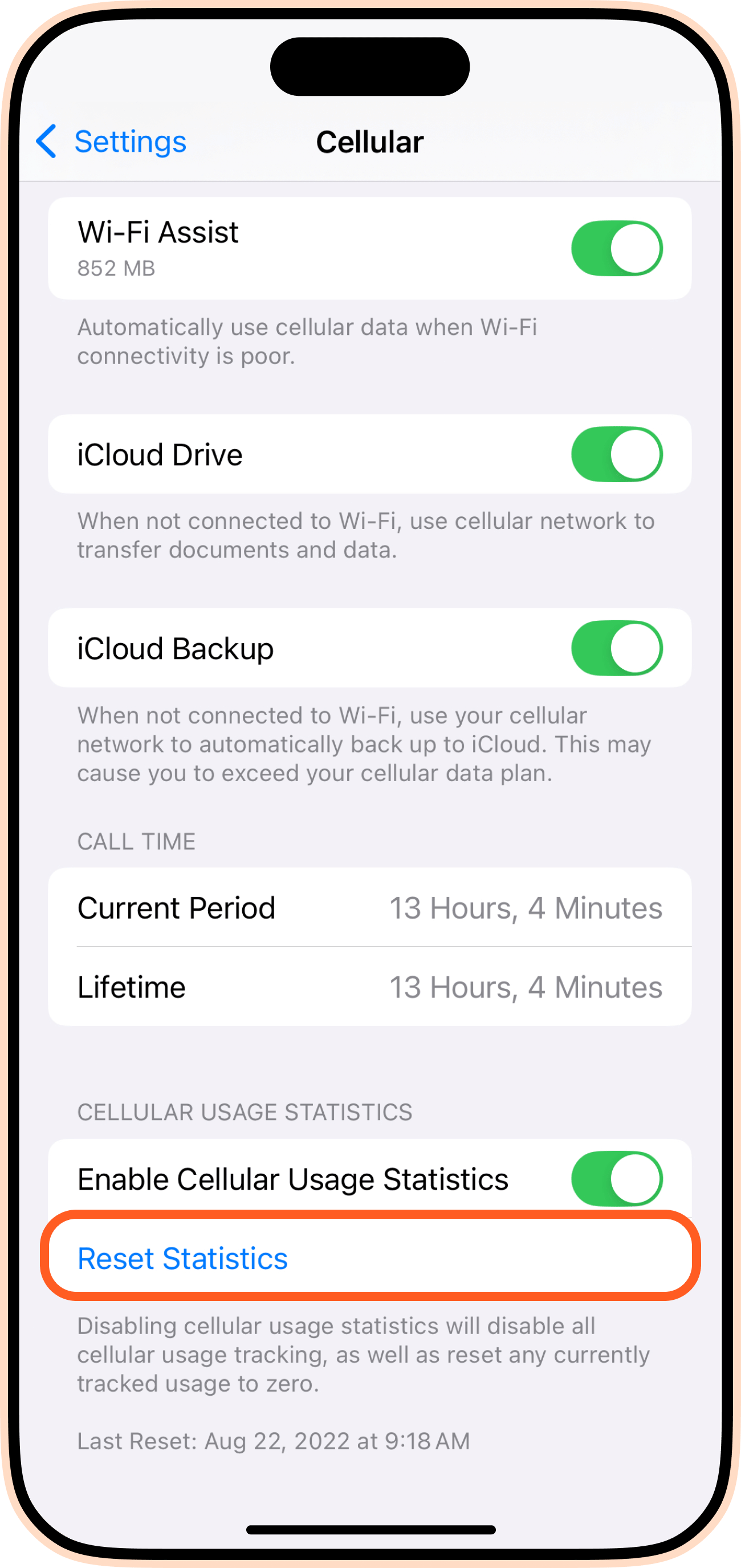 Reset Statistics iPhone