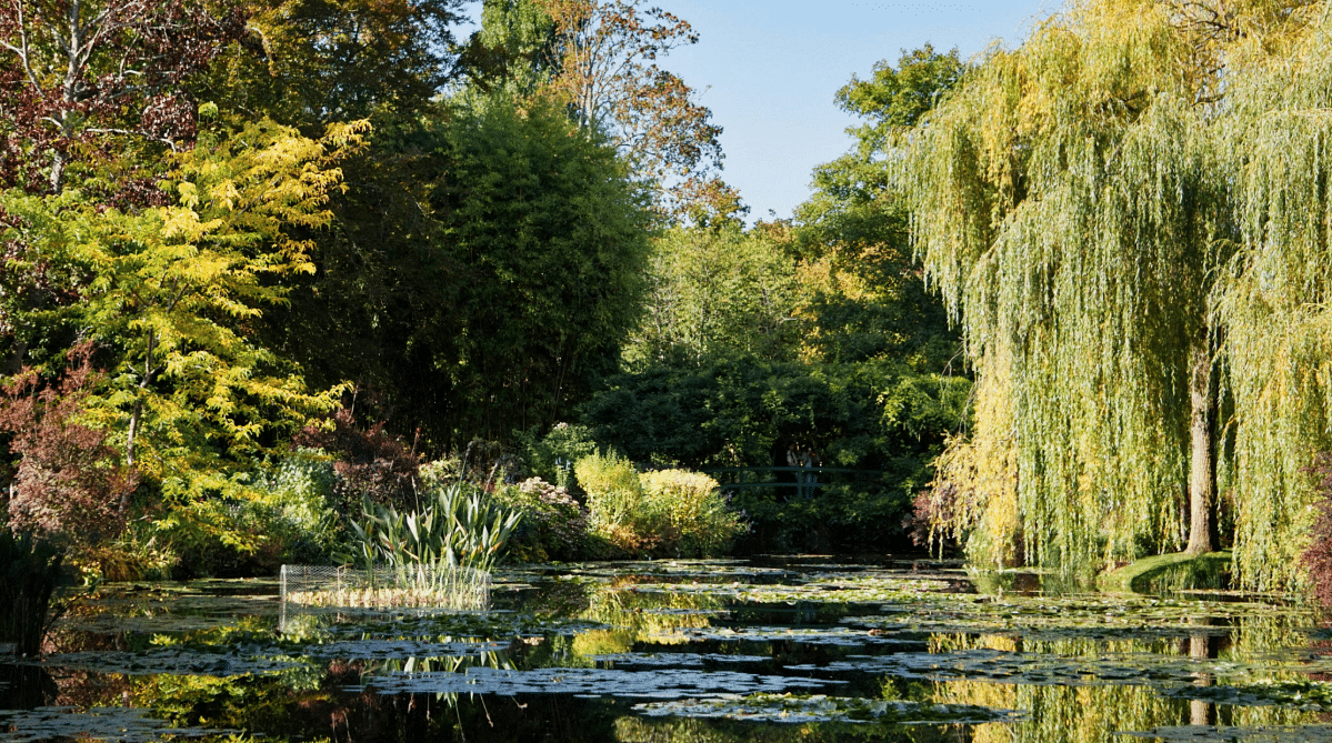 Lily pond in Giverny, France