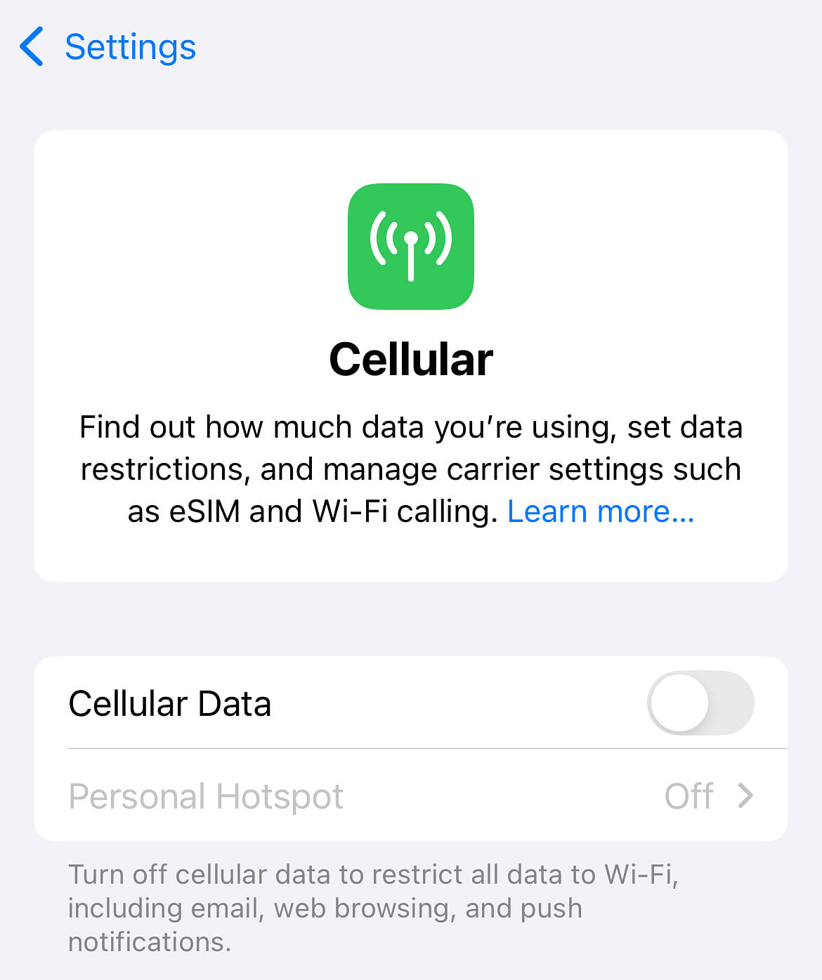 Cellular Data menu