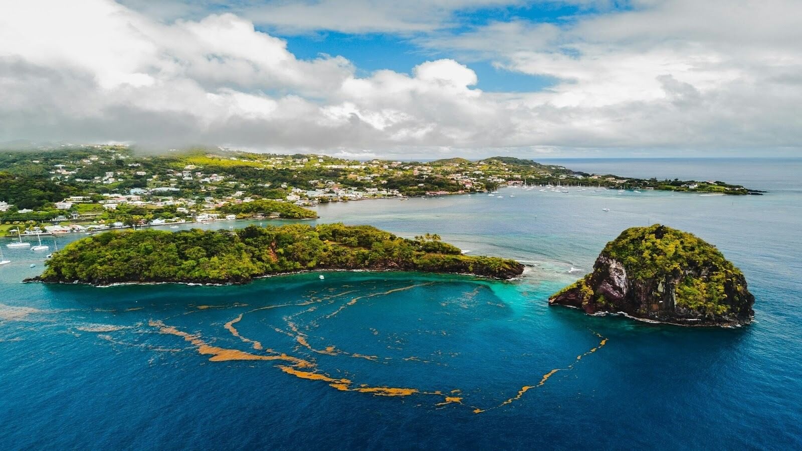 Aerial view of Young Island with a large body of water, trees and houses