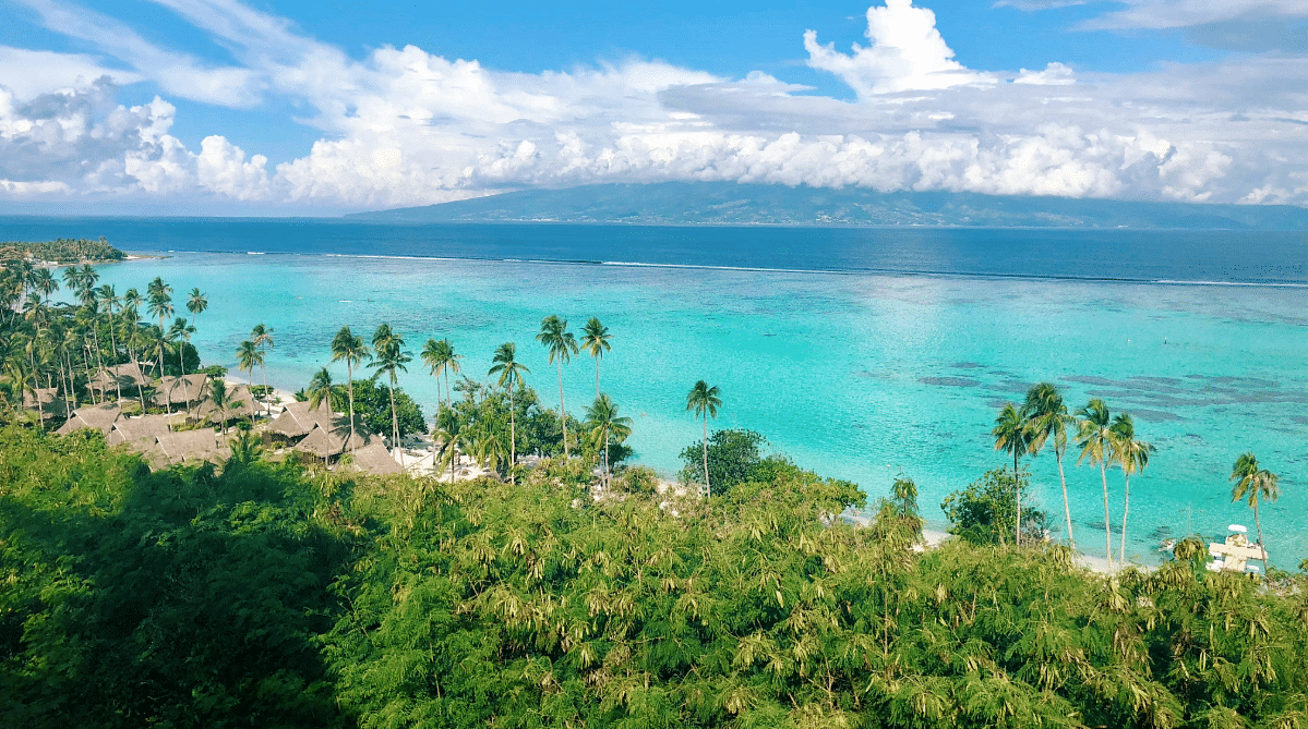 Jungle and beach in Mo'orea, French Polynesia
