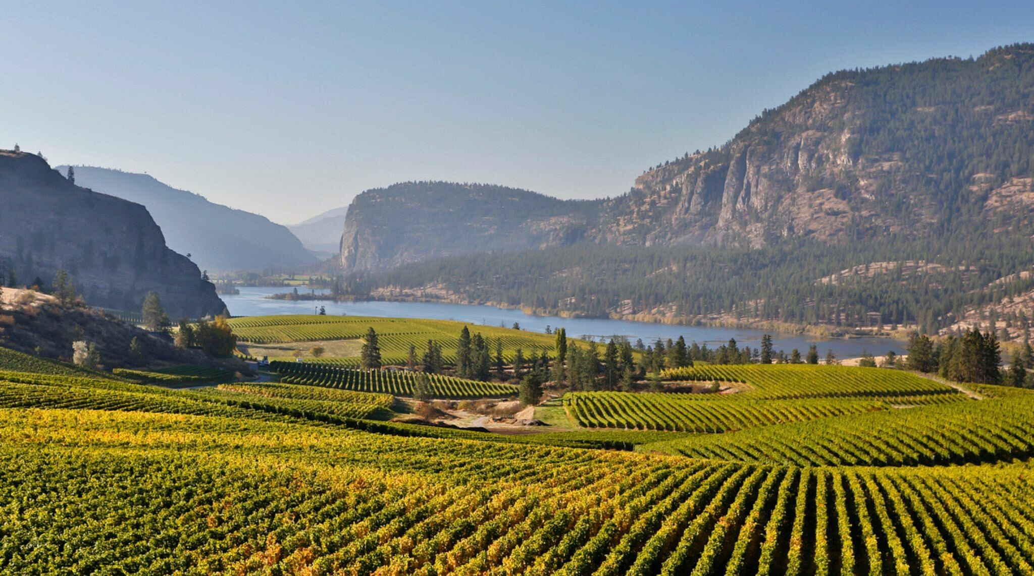 road trip canada Ouest : Okanagan et vignobles