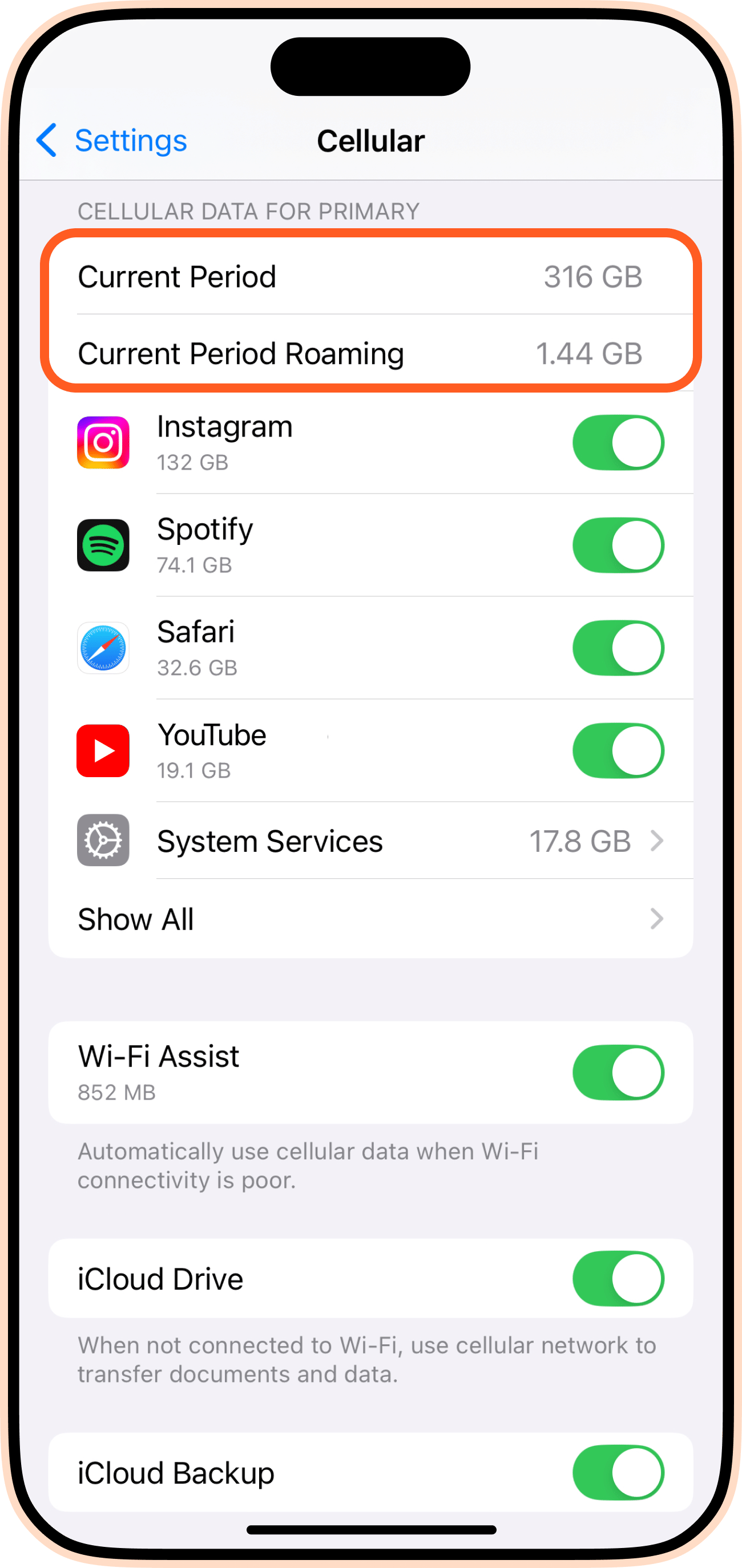 Current Period Roaming iPhone
