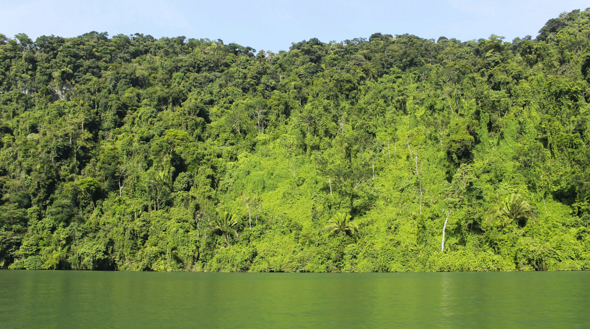 Rio Dulce in Guatemala