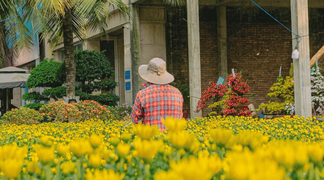 Nouvel An vietnamien 2026 : Voyage et immersion, le guide du Têt