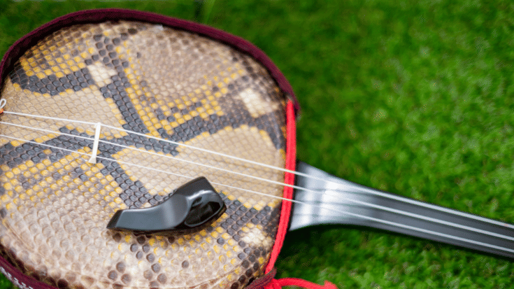A colour photograph showing a sanshin, Okinawa’s iconic three-stringed instrument, features a snakeskin-covered body and produces the island’s signature sound. To illustrate a blog post entitled 'Top Things to Do in Okinawa, Japan's Tropical Gem.'