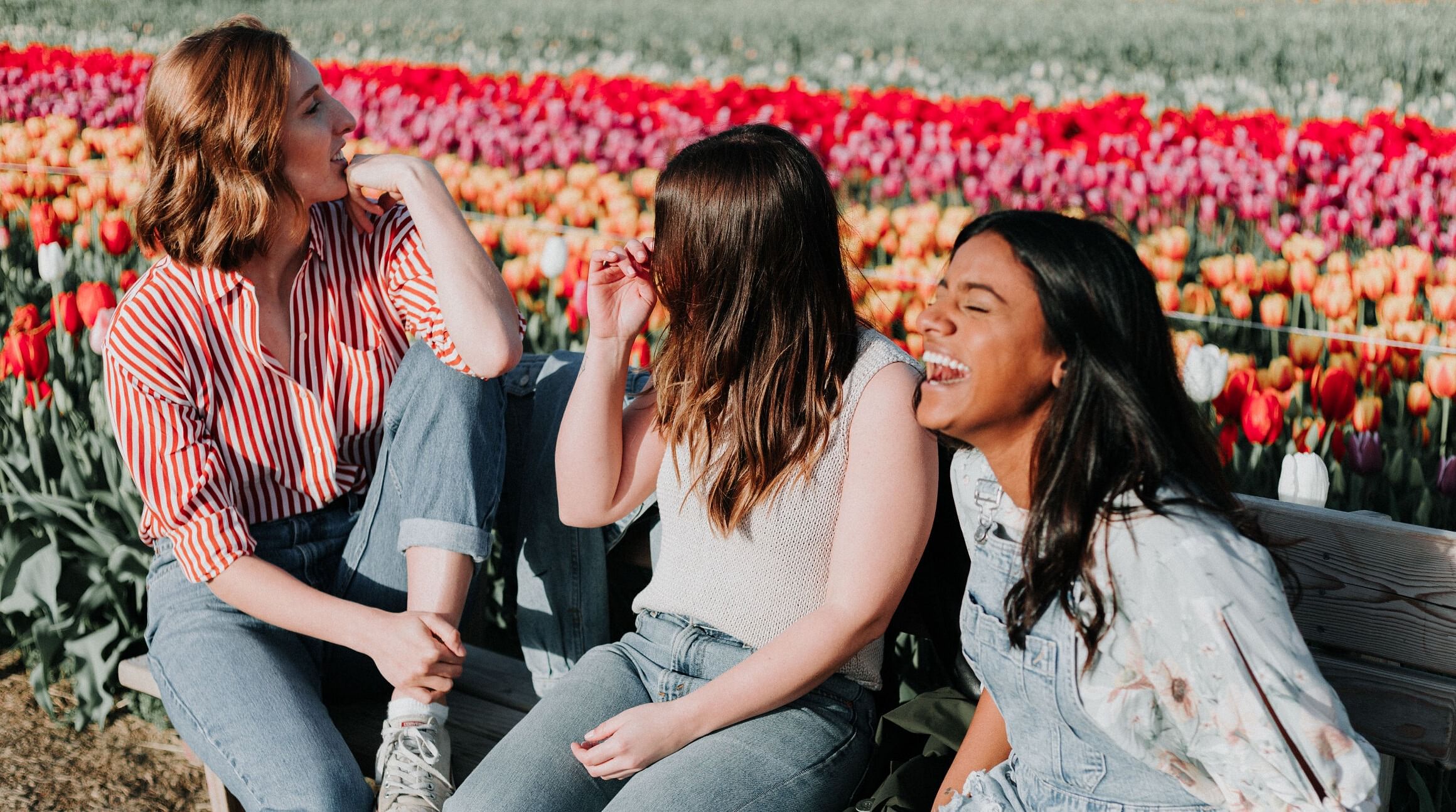 three travelers laughing together in a Netherlands tulip field