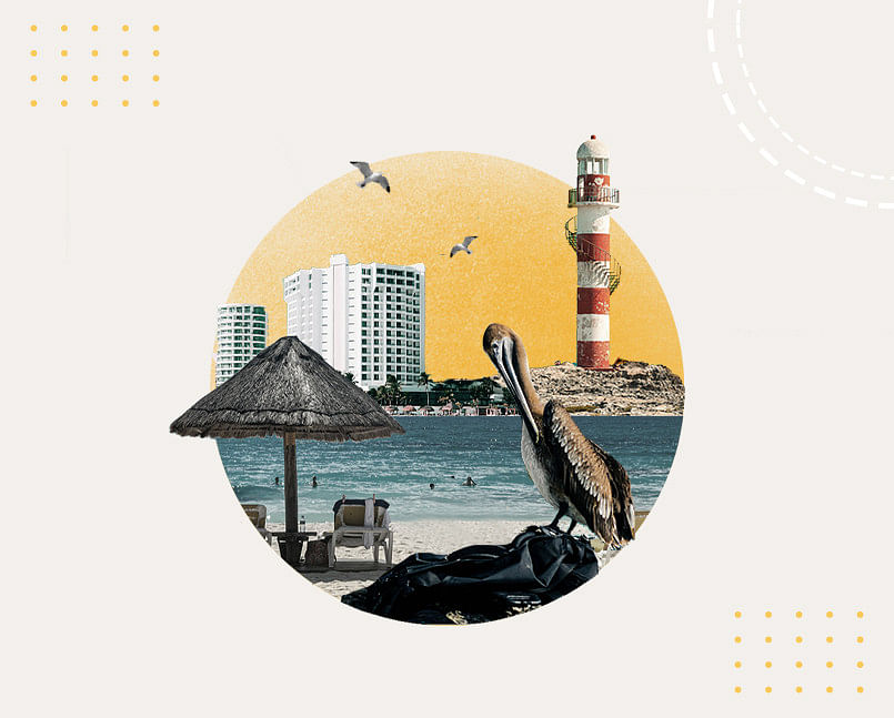 The 20 Best Things To Do in Cancun
